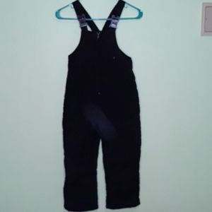 Big chill ski overalls